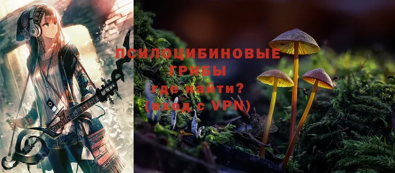 гидра ONION  Бакал  Галлюциногенные грибы Cubensis 